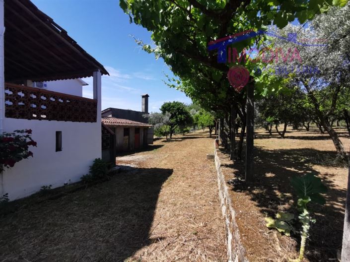 Image No.8-Maison de 2 chambres à vendre à Figueiró dos Vinhos