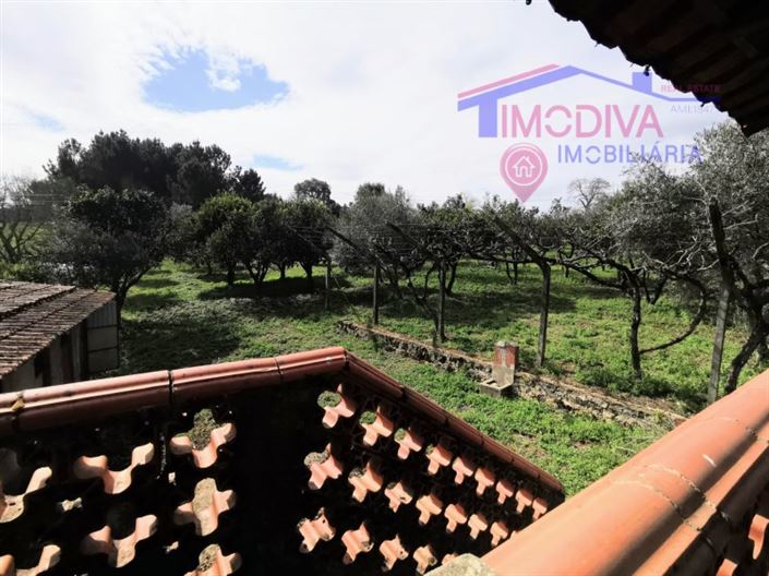 Image No.5-Maison de 2 chambres à vendre à Figueiró dos Vinhos