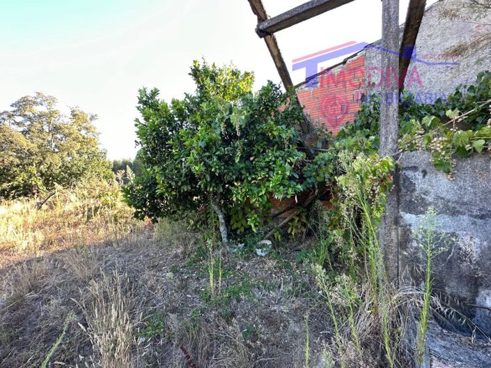 Image No.24-Maison de 3 chambres à vendre à Pedrógão Grande