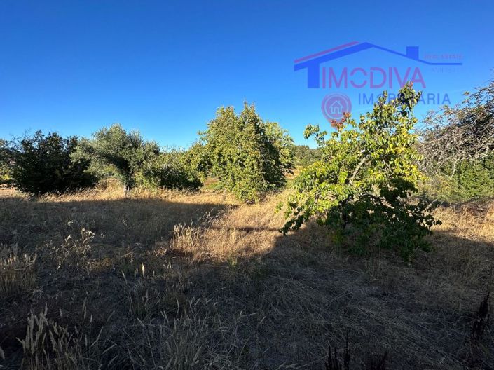 Image No.27-Maison de 3 chambres à vendre à Pedrógão Grande