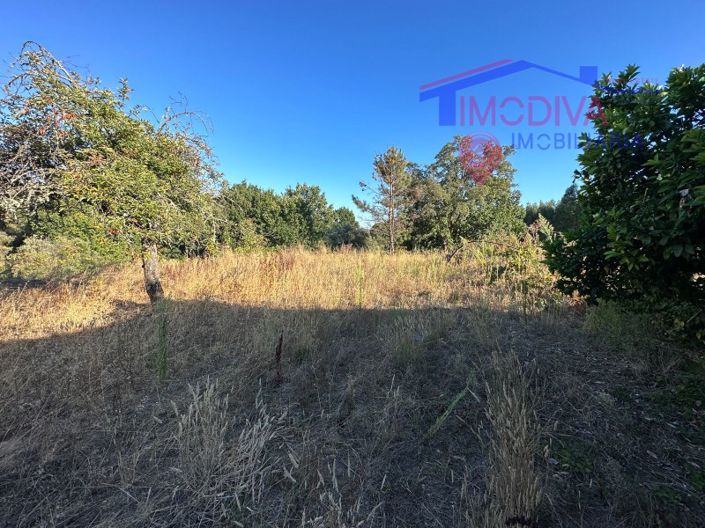 Image No.28-Maison de 3 chambres à vendre à Pedrógão Grande