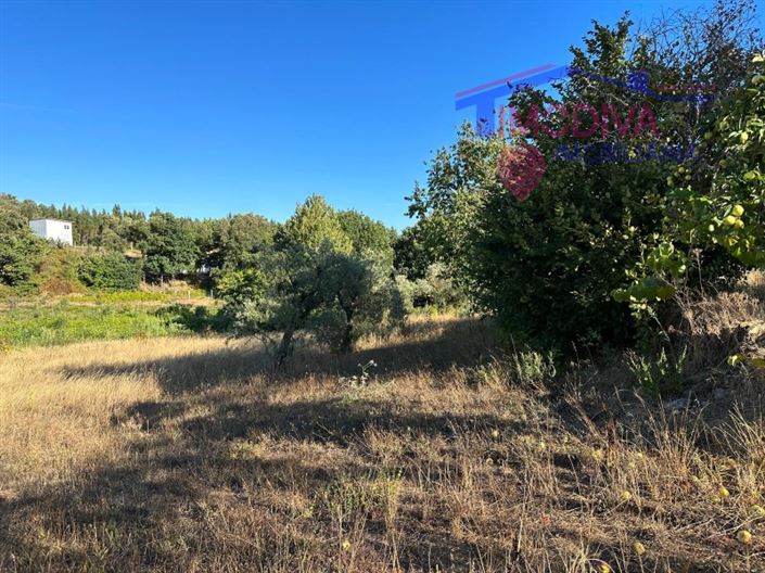 Image No.31-Maison de 3 chambres à vendre à Pedrógão Grande