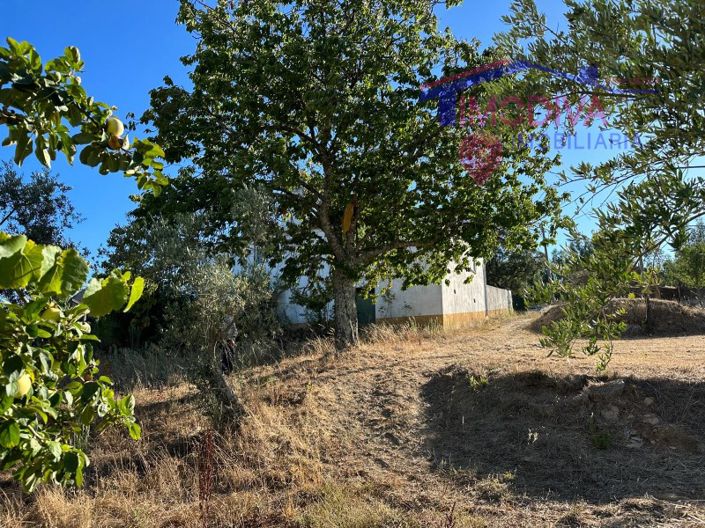 Image No.34-Maison de 3 chambres à vendre à Pedrógão Grande