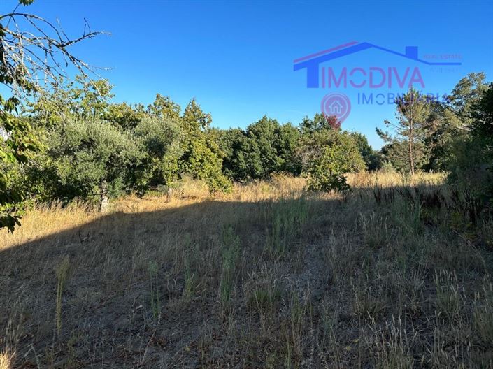 Image No.35-Maison de 3 chambres à vendre à Pedrógão Grande