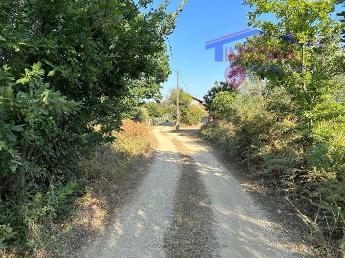 Image No.22-Maison à vendre à Pedrógão Grande