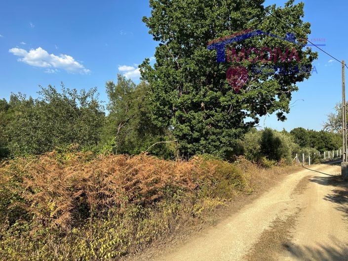 Image No.23-Maison à vendre à Pedrógão Grande