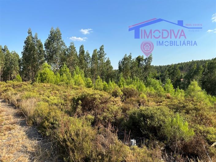 Image No.25-Maison à vendre à Pedrógão Grande