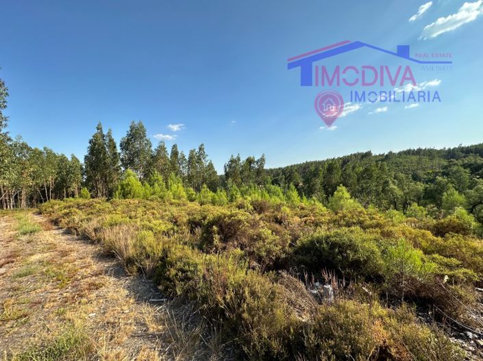 Image No.24-Maison à vendre à Pedrógão Grande