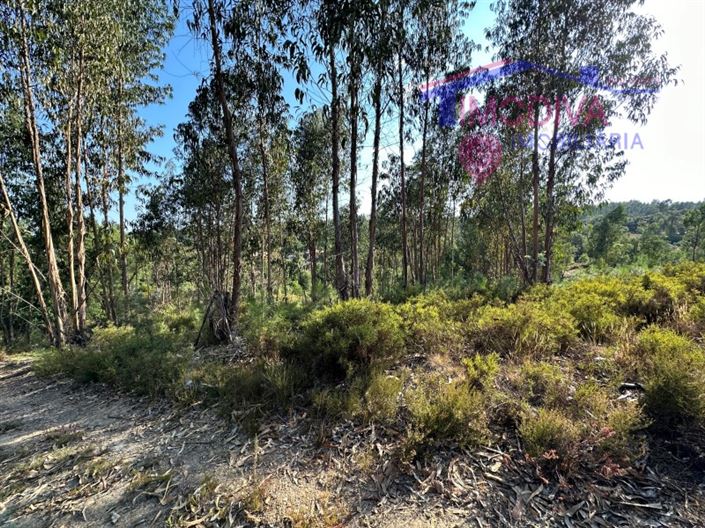 Image No.26-Maison à vendre à Pedrógão Grande