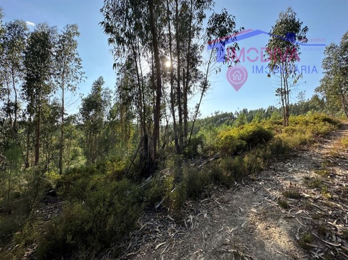 Image No.28-Maison à vendre à Pedrógão Grande