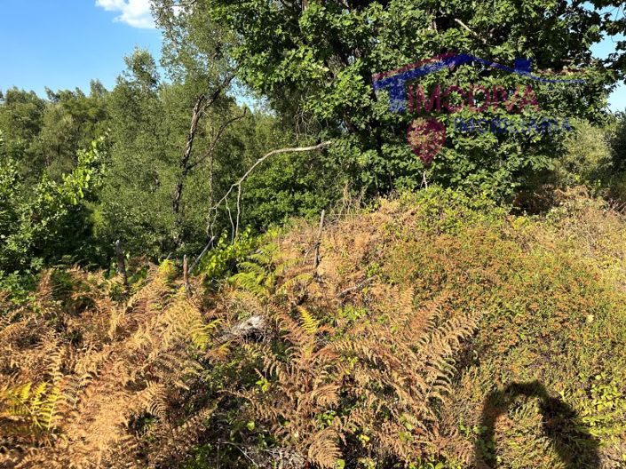 Image No.30-Maison à vendre à Pedrógão Grande