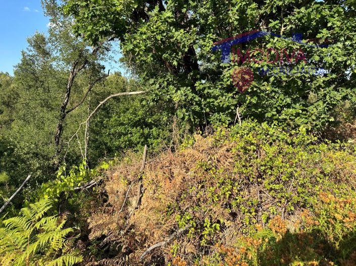 Image No.31-Maison à vendre à Pedrógão Grande