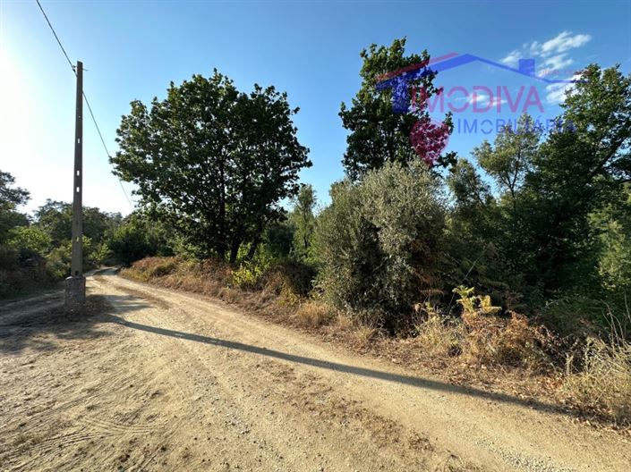 Image No.34-Maison à vendre à Pedrógão Grande