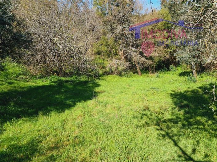 Image No.25-Maison de 5 chambres à vendre à Ansião