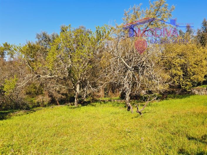 Image No.26-Maison de 5 chambres à vendre à Ansião