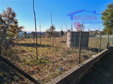 id055d5101-0000-0500-0000-000010b8ccf7