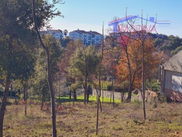 id055d5101-0000-0500-0000-000010b8ccfb