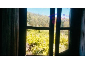 id605c5101-0000-0500-0000-000010b345a5