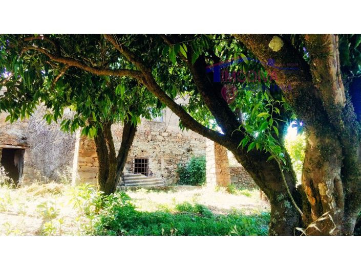 Image No.24-Maison de 3 chambres à vendre à Figueiró dos Vinhos