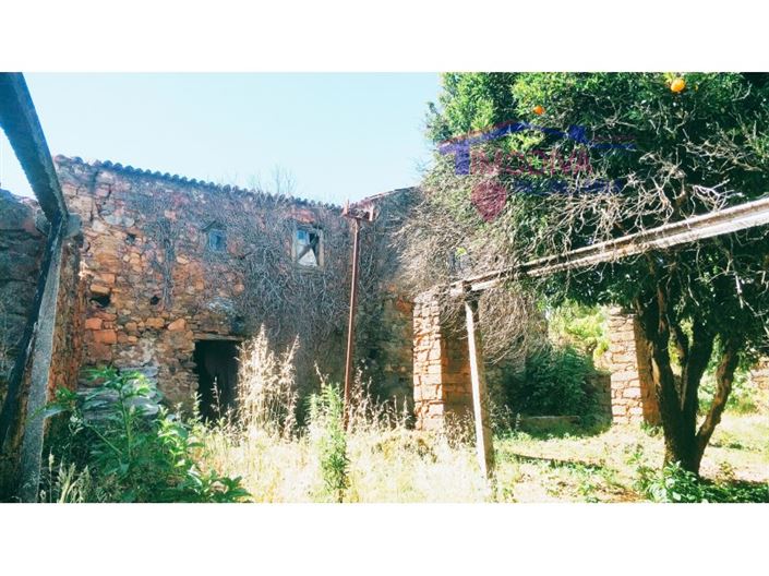 Image No.25-Maison de 3 chambres à vendre à Figueiró dos Vinhos