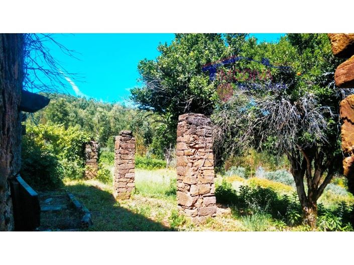 Image No.26-Maison de 3 chambres à vendre à Figueiró dos Vinhos