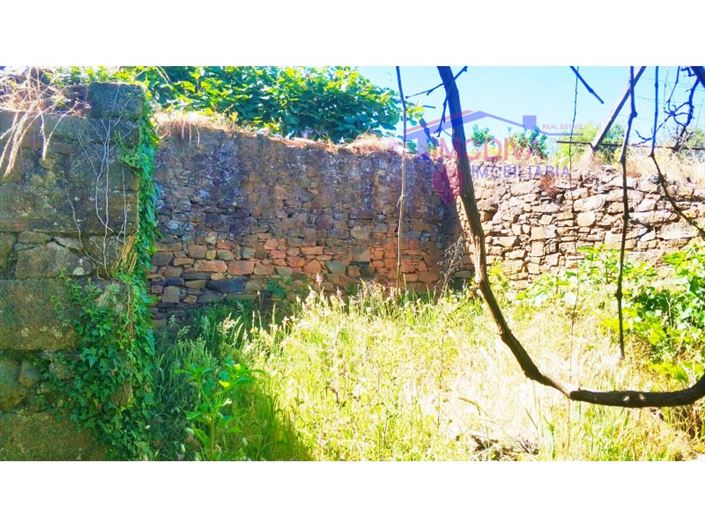 Image No.27-Maison de 3 chambres à vendre à Figueiró dos Vinhos