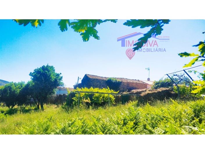 Image No.28-Maison de 3 chambres à vendre à Figueiró dos Vinhos