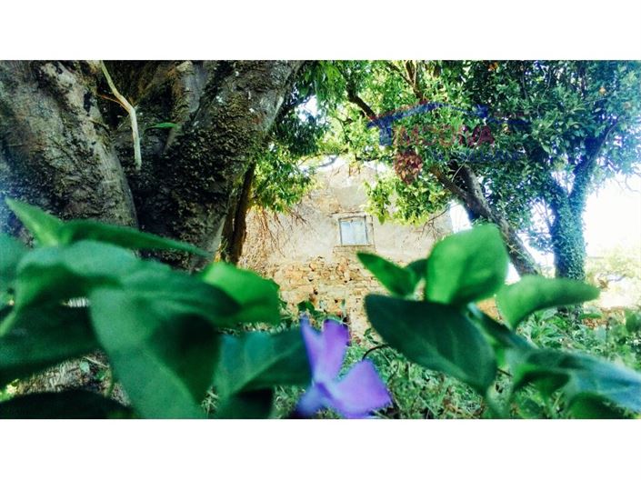 Image No.29-Maison de 3 chambres à vendre à Figueiró dos Vinhos