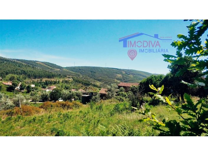 Image No.30-Maison de 3 chambres à vendre à Figueiró dos Vinhos