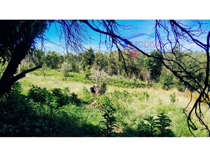 Image No.31-Maison de 3 chambres à vendre à Figueiró dos Vinhos