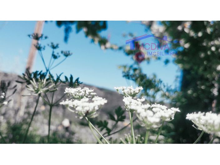Image No.32-Maison de 3 chambres à vendre à Figueiró dos Vinhos