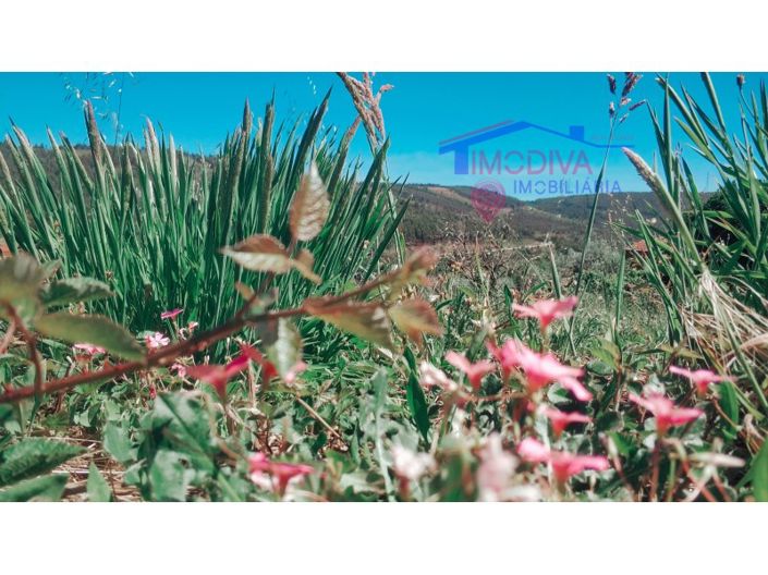 Image No.33-Maison de 3 chambres à vendre à Figueiró dos Vinhos