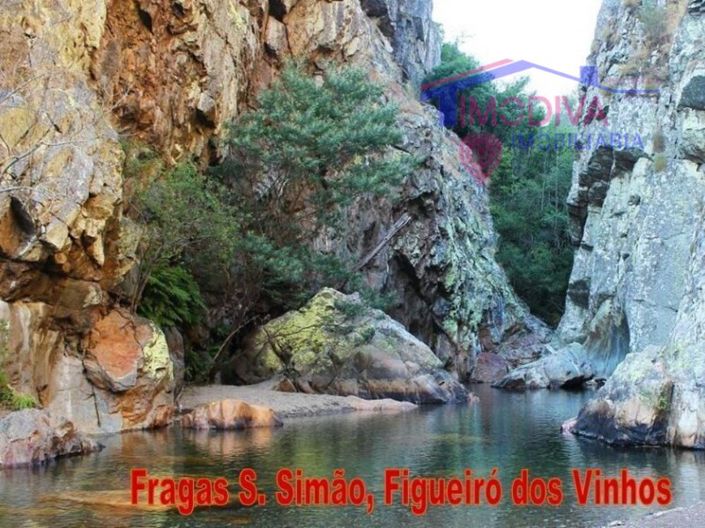 Image No.36-Maison de 3 chambres à vendre à Figueiró dos Vinhos