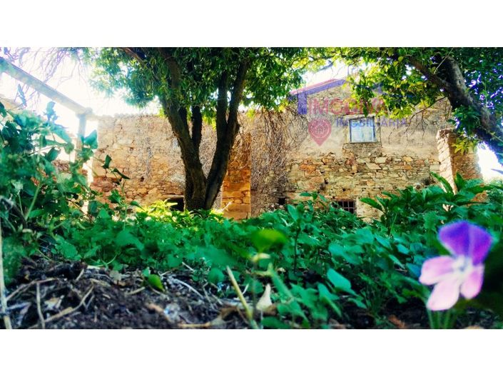 Image No.4-Maison de 3 chambres à vendre à Figueiró dos Vinhos