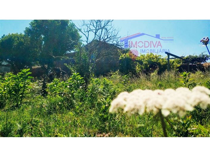 Image No.6-Maison de 3 chambres à vendre à Figueiró dos Vinhos