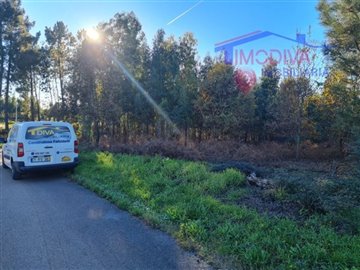 1 - Pedrógão Grande, Terrain