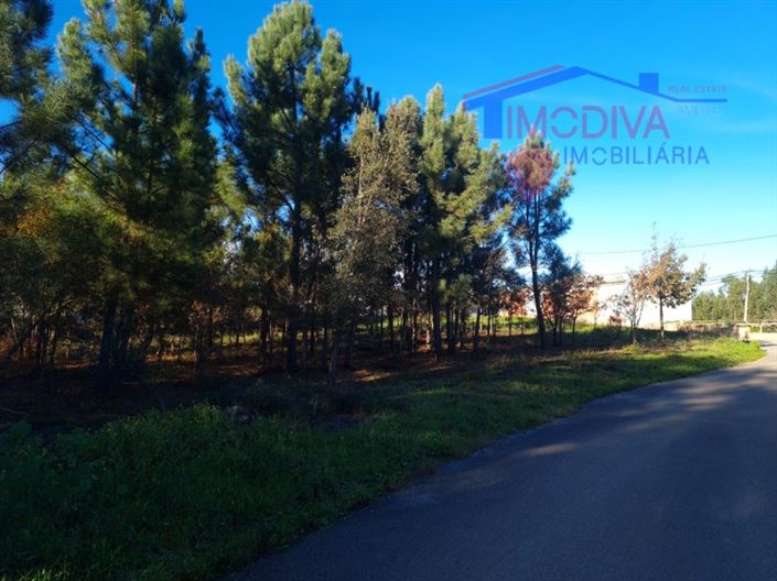 Image No.2-Plot for sale