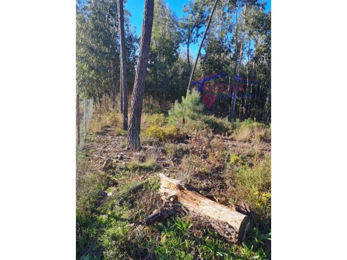 Image No.21-Plot for sale