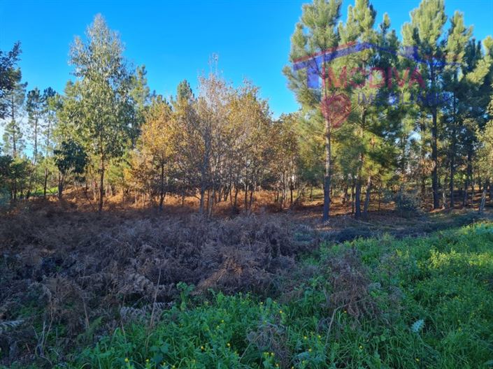 Image No.6-Plot for sale