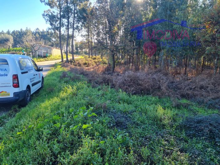 Image No.4-Plot for sale