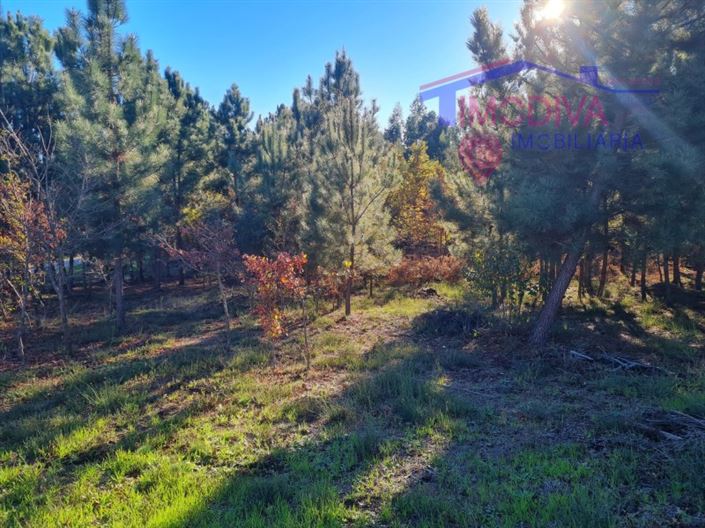 Image No.8-Plot for sale