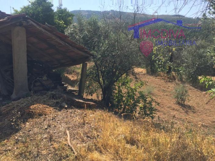 Image No.13-House for sale