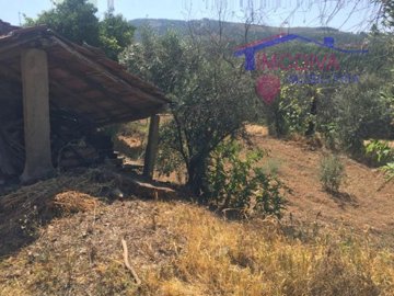 id62106001-0000-0500-0000-00001051d089