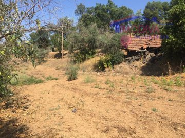 id62106001-0000-0500-0000-00001051d086