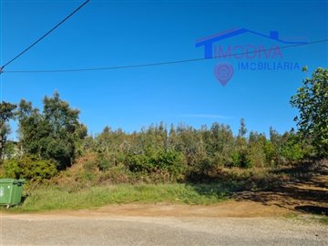 id1f805801-0000-0500-0000-00000fb0a775