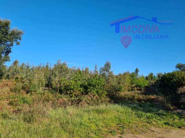 Image No.4-Plot for sale