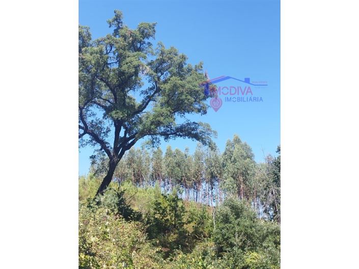 Image No.4-Plot for sale