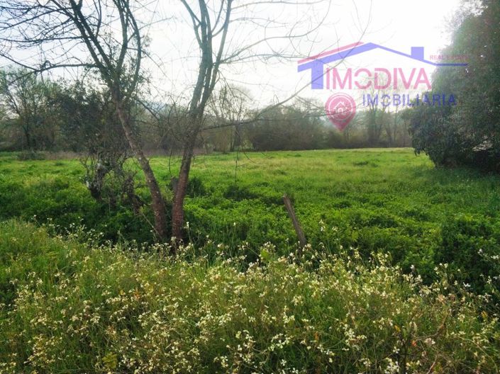 Image No.11-1 Bed House for sale