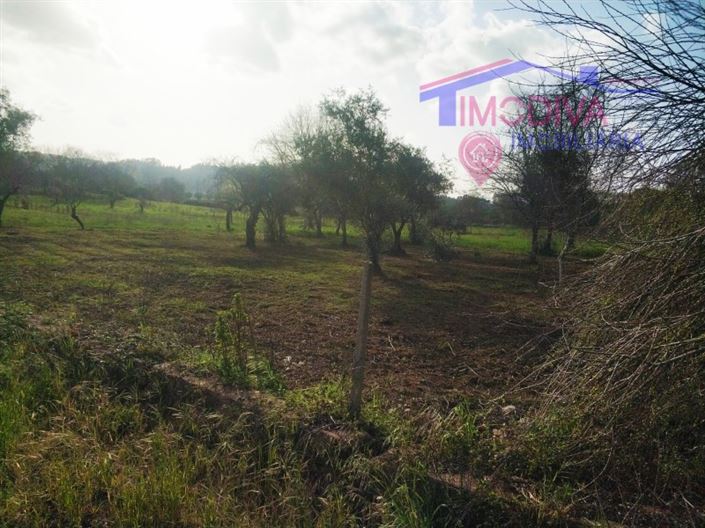 Image No.14-1 Bed House for sale