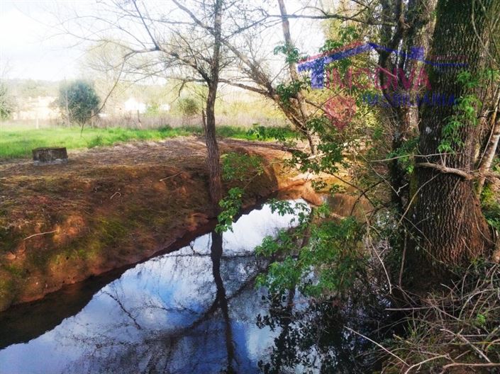 Image No.19-1 Bed House for sale